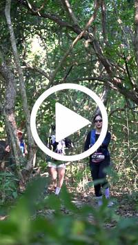 BIB:  <button type="button" onclick="openModal(28063780)" class="btn btn-primary btn-sm float-right" data-toggle="modal" data-target=".modal-high-quality">
                <i class="fa fa-download"></i> Download
                </button>